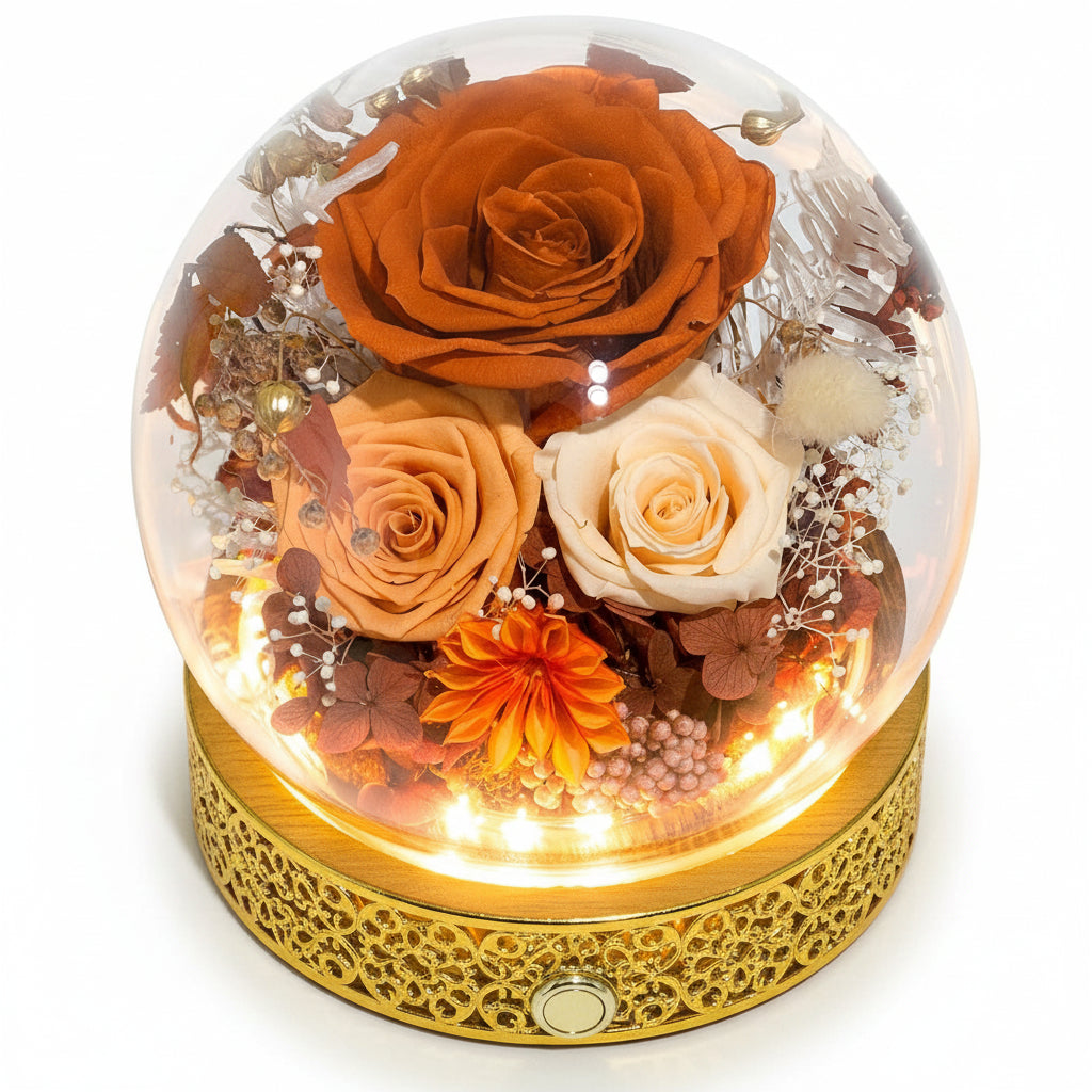 Cúpula de cristal con rosa preservada — Luces LED integradas