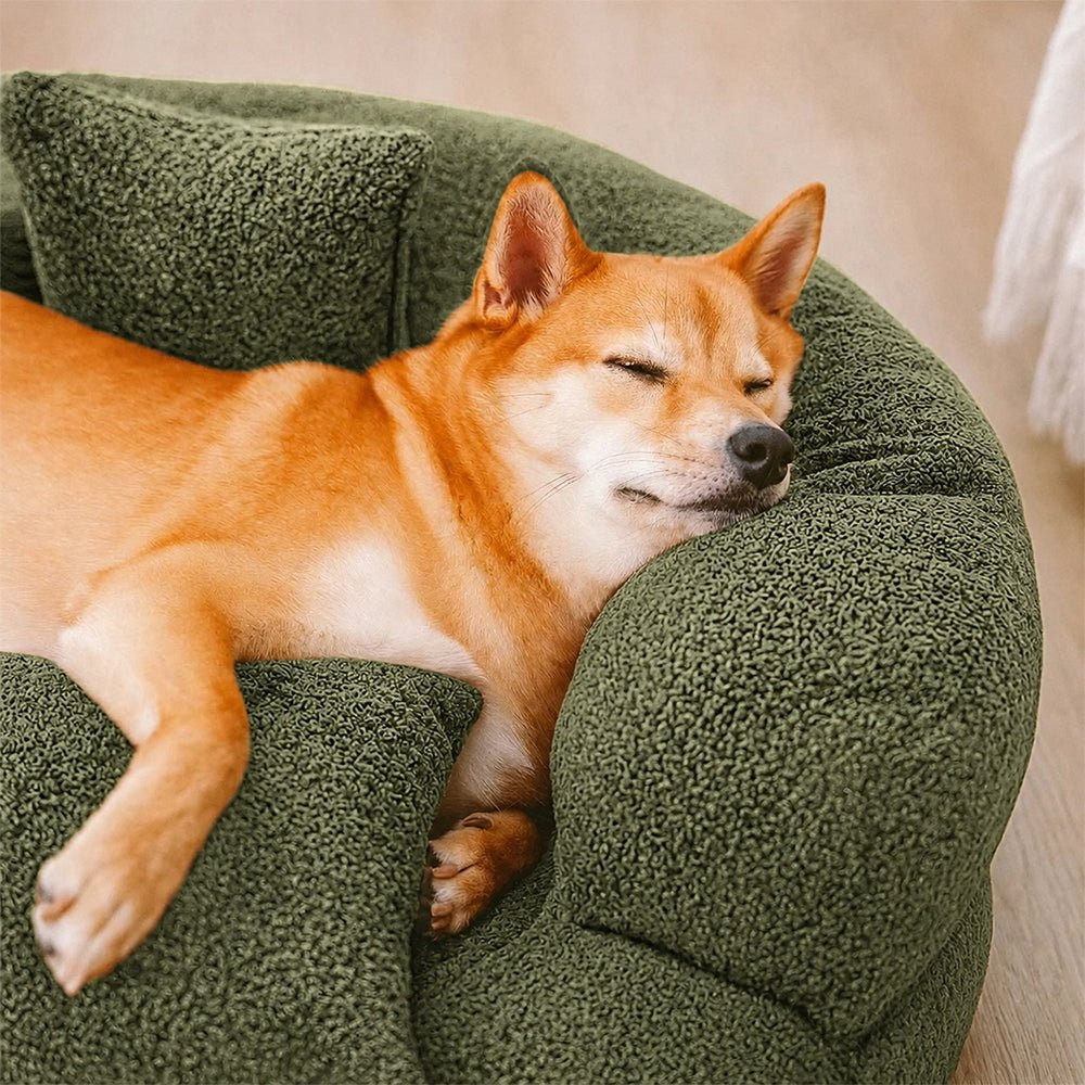 DREAMNEST – Cama para Perros en Forma de Donut Ortopédica hecha de Terciopelo Diamante para Máximo Confort