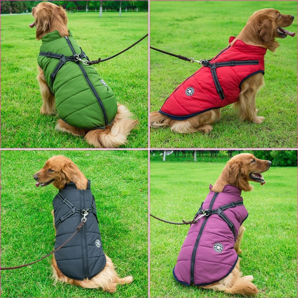 DryPaw • Abrigo Impermeable para Perros