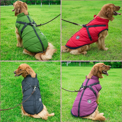 DryPaw • Abrigo Impermeable para Perros