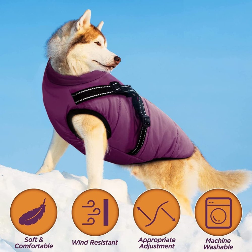 DryPaw • Abrigo Impermeable para Perros