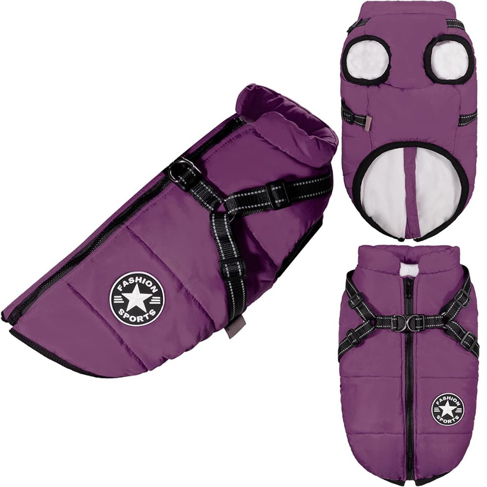 DryPaw • Abrigo Impermeable para Perros