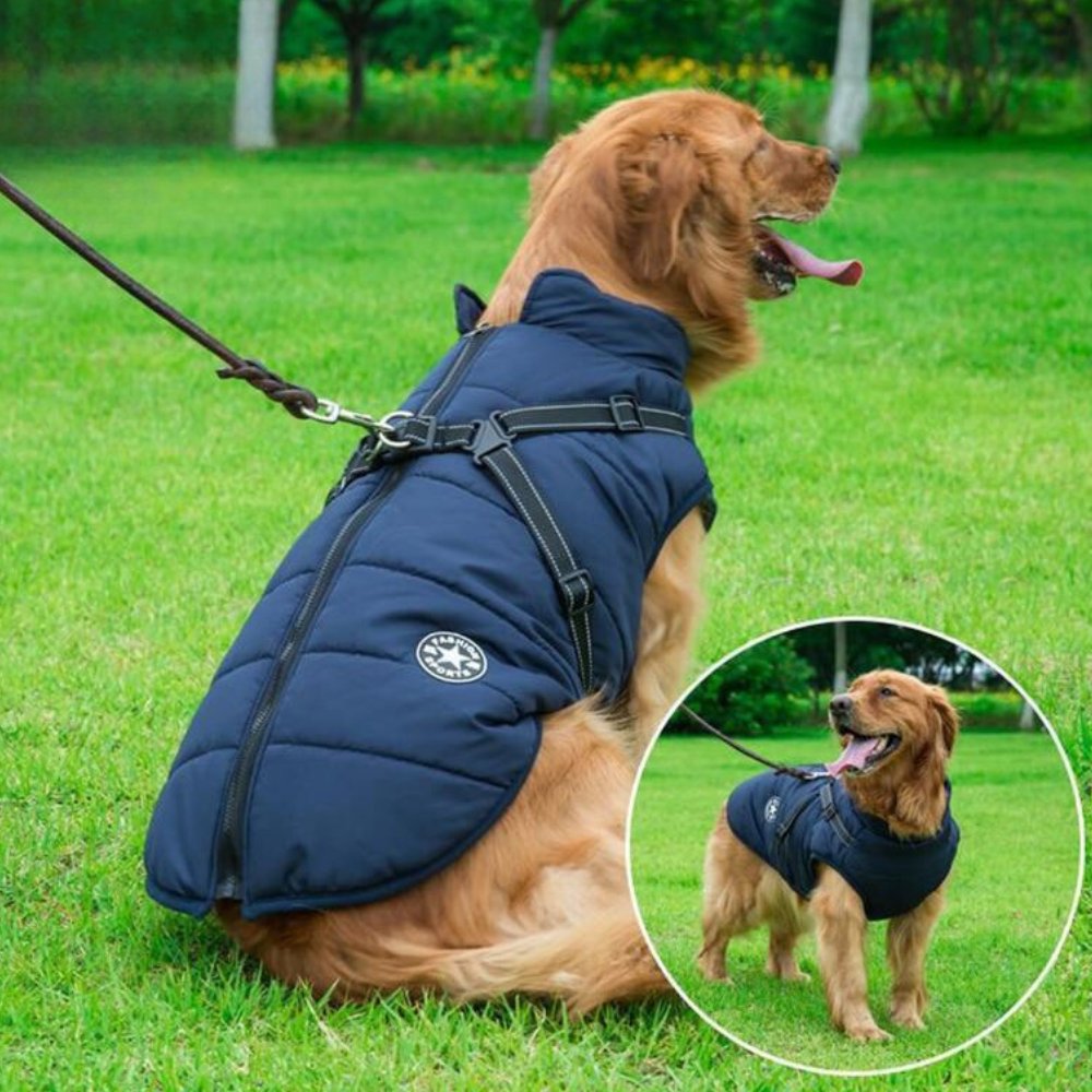 DryPaw • Abrigo Impermeable para Perros