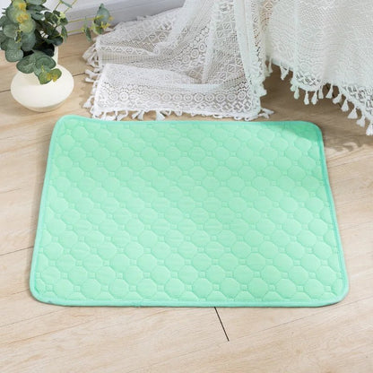 EcoComfort • Almohadillas Lavables para Perros