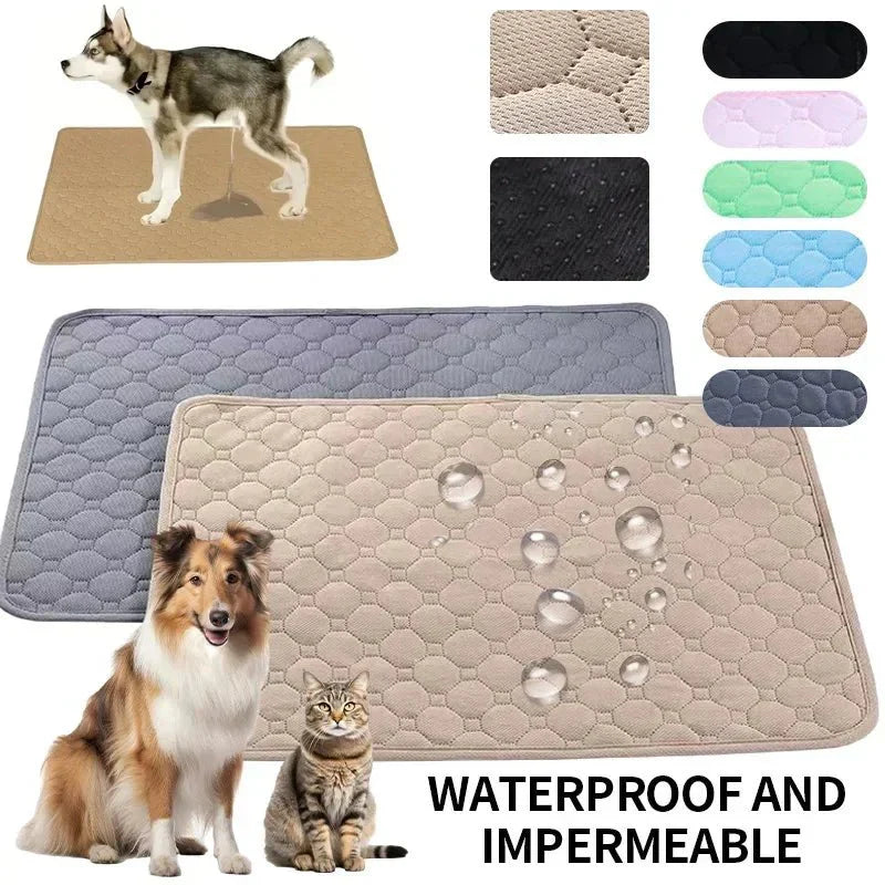 EcoComfort • Almohadillas Lavables para Perros