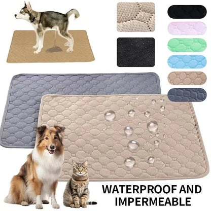 EcoComfort • Almohadillas Lavables para Perros