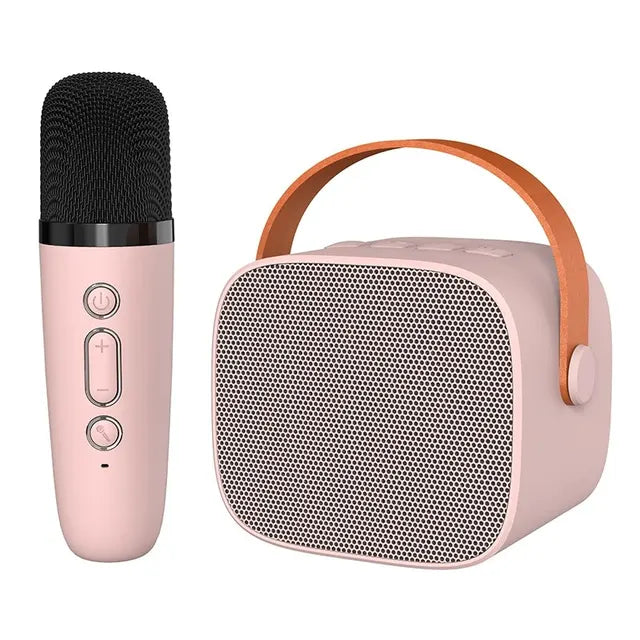 Equipo de Karaoke de Lujo para Conciertos en Casa