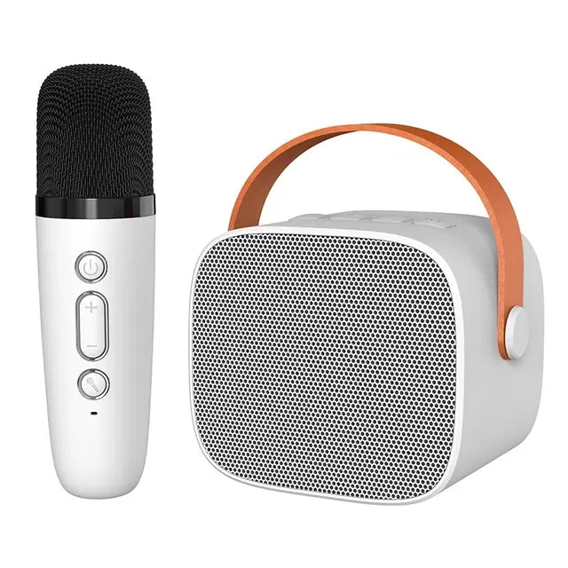 Equipo de Karaoke de Lujo para Conciertos en Casa
