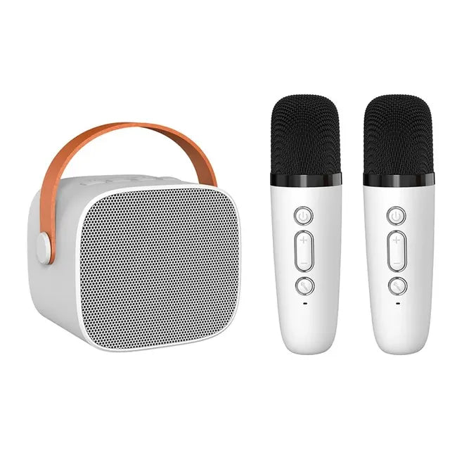 Equipo de Karaoke de Lujo para Conciertos en Casa