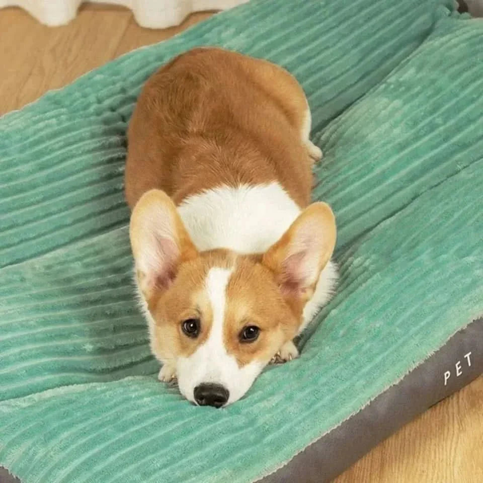 FLAUSCHNEST – Comodidad Acogedora para Perros