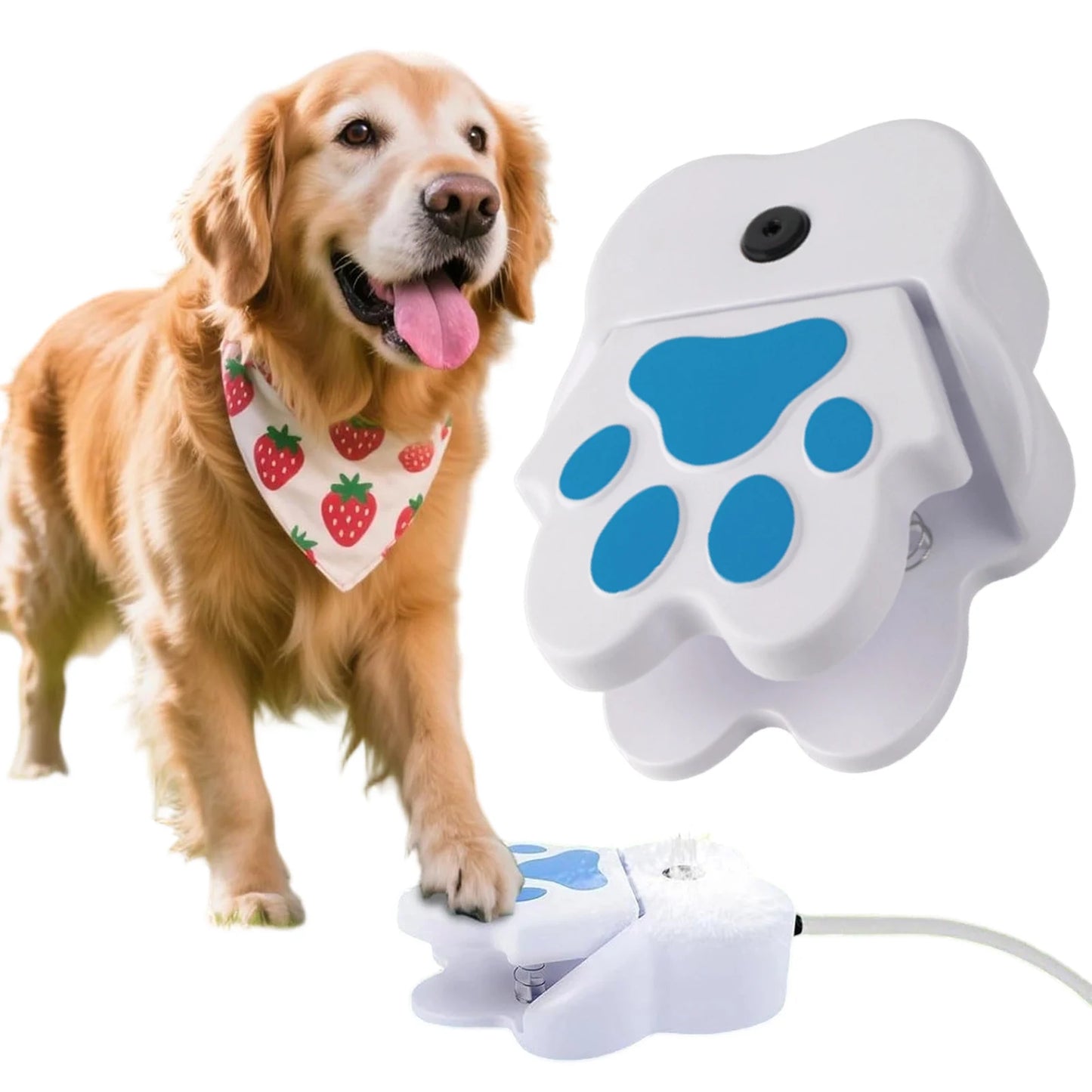 Fuente de Agua con Huella - Fuente para Perros - Image 4