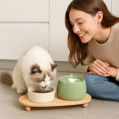 FUENTE DE AGUA DE CERÁMICA PARA GATOS | AquaCeramic