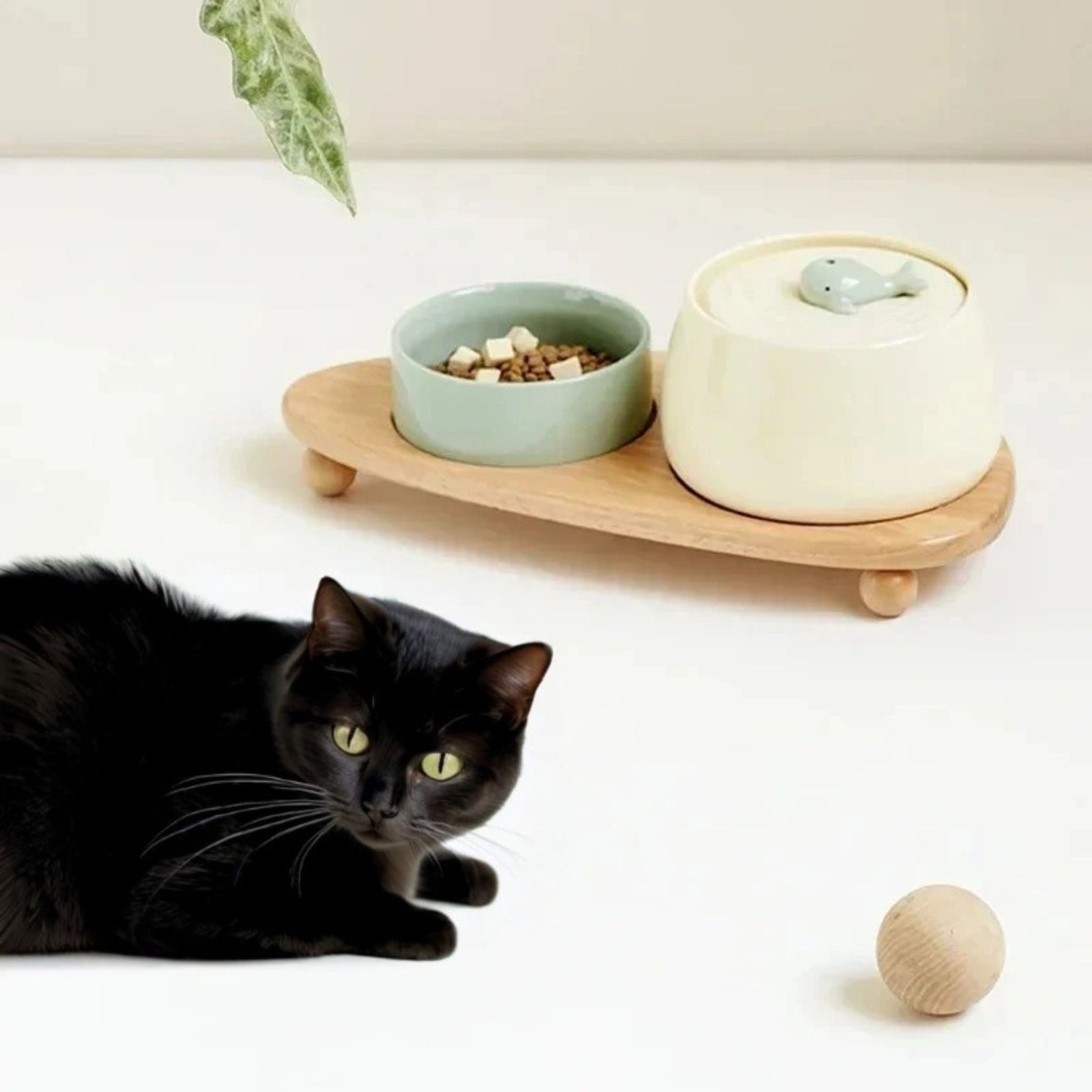 FUENTE DE AGUA DE CERÁMICA PARA GATOS | AquaCeramic