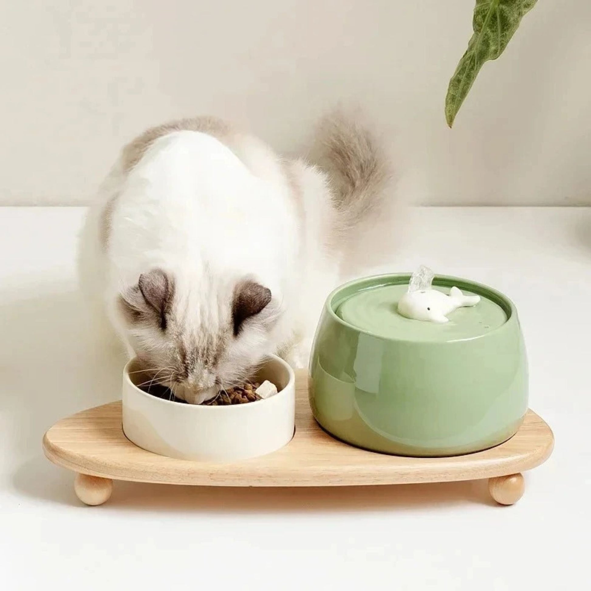 FUENTE DE AGUA DE CERÁMICA PARA GATOS | AquaCeramic