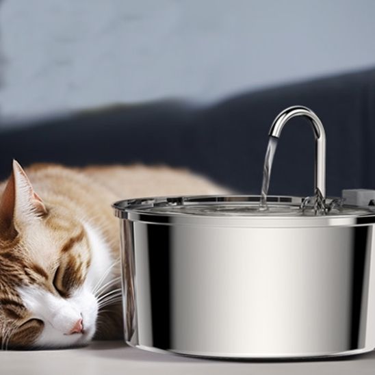 Fuente de Agua para Gatos | AGUA FRESCA