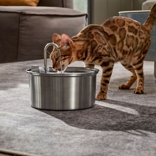 Fuente de Agua para Gatos | AGUA FRESCA