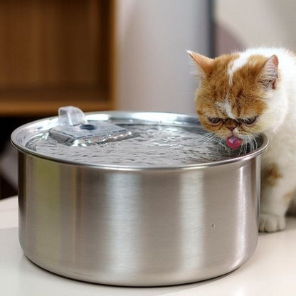Fuente de Agua para Gatos | AGUA FRESCA