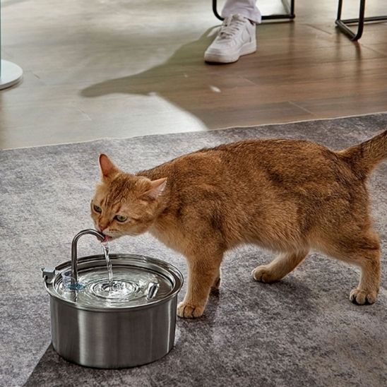 Fuente de Agua para Gatos | AGUA FRESCA