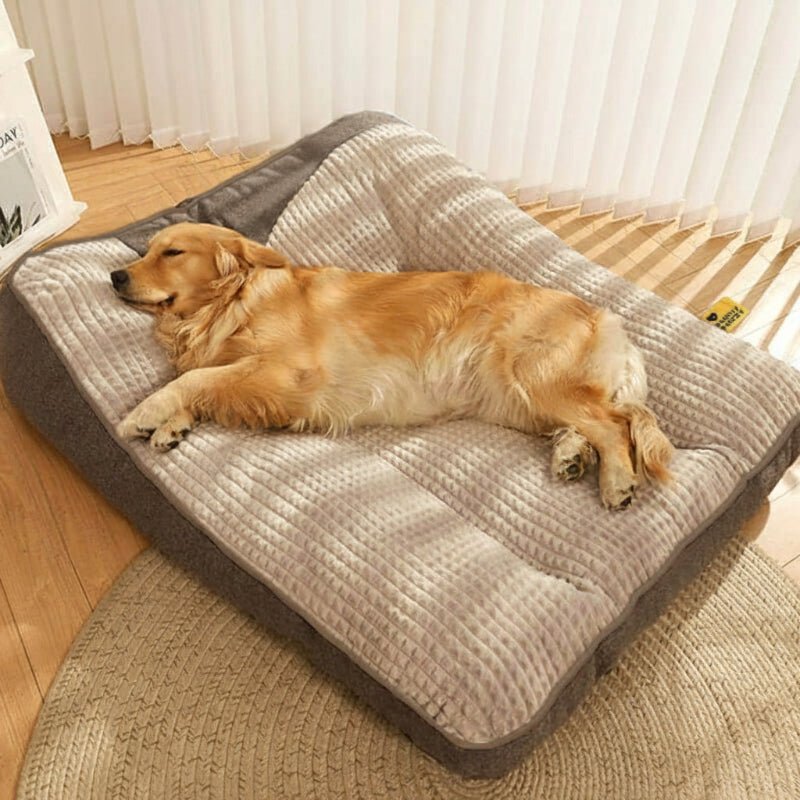 HUGBED – Cama para perros grande resistente a rasguños con soporte ortopédico para la columna