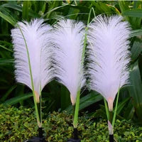 Iluminación de Jardín de Mimbre Decorativa - SunReed