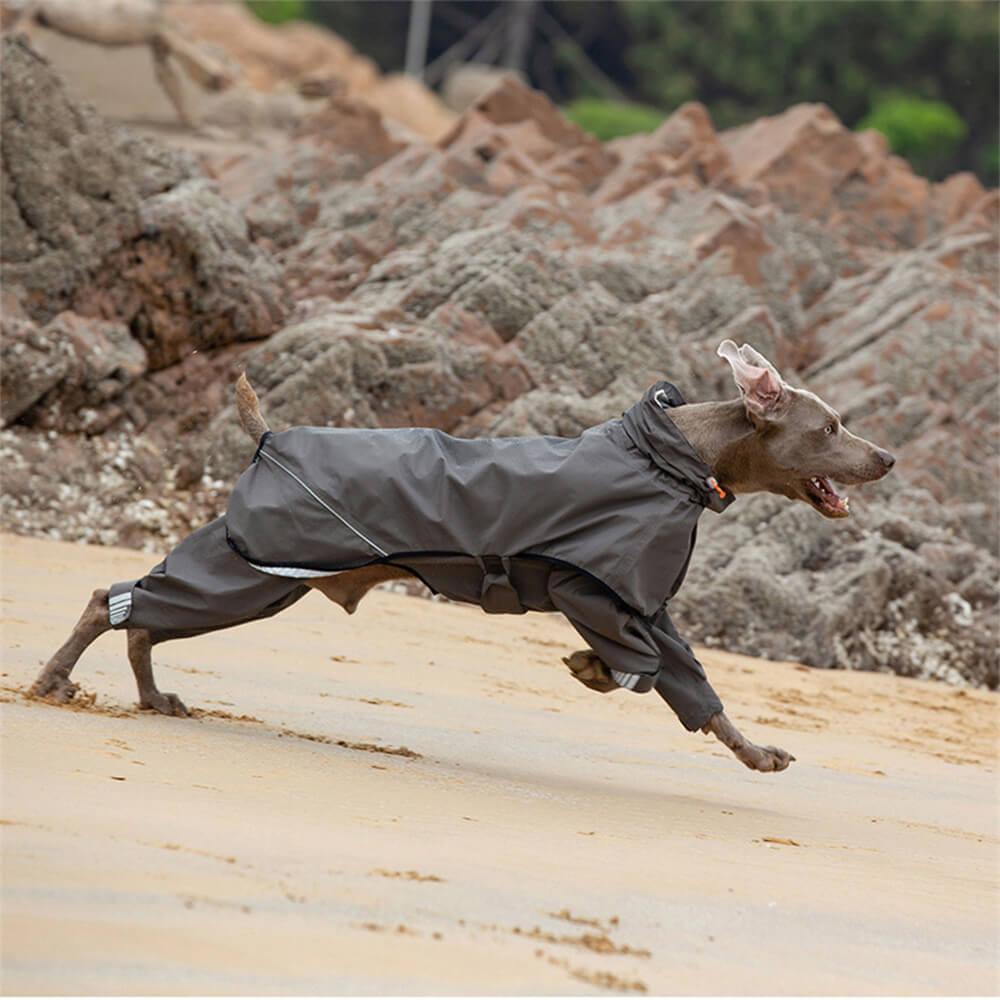 Impermeable para Perros con Cuatro Patas y Capucha Reflectante