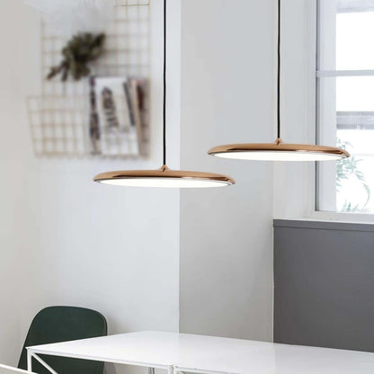 Lámpara Colgante con Forma Simple para Interiores Modernos