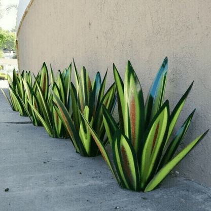 Lámpara Decorativa de Agave Estilosa Resalta la Belleza Natural del Espacio