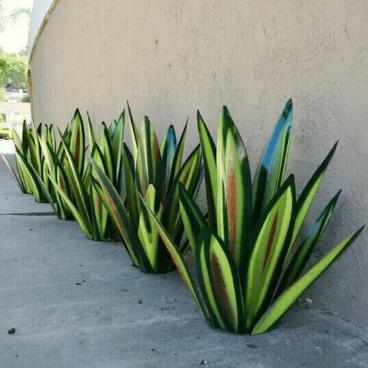 Lámpara Decorativa de Agave Estilosa Resalta la Belleza Natural del Espacio