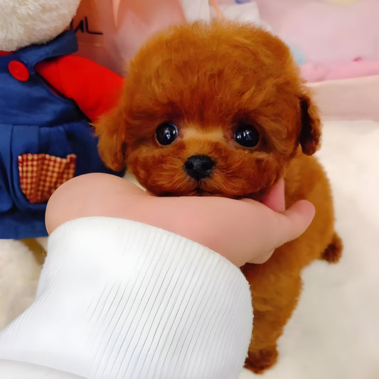 LieberTeddy™ 2.0 - Un Juguete de Mascota Realista