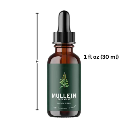 Mullein Sin Gluten para la Salud Pulmonar