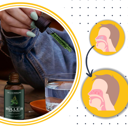Mullein Sin Gluten para la Salud Pulmonar
