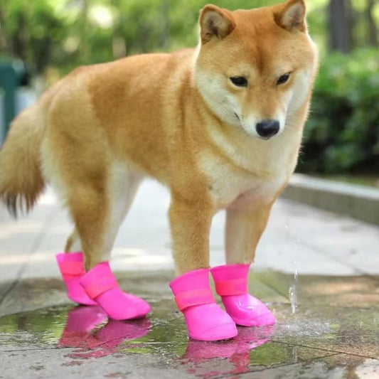 Pawsafe • Botas Impermeables para Perros