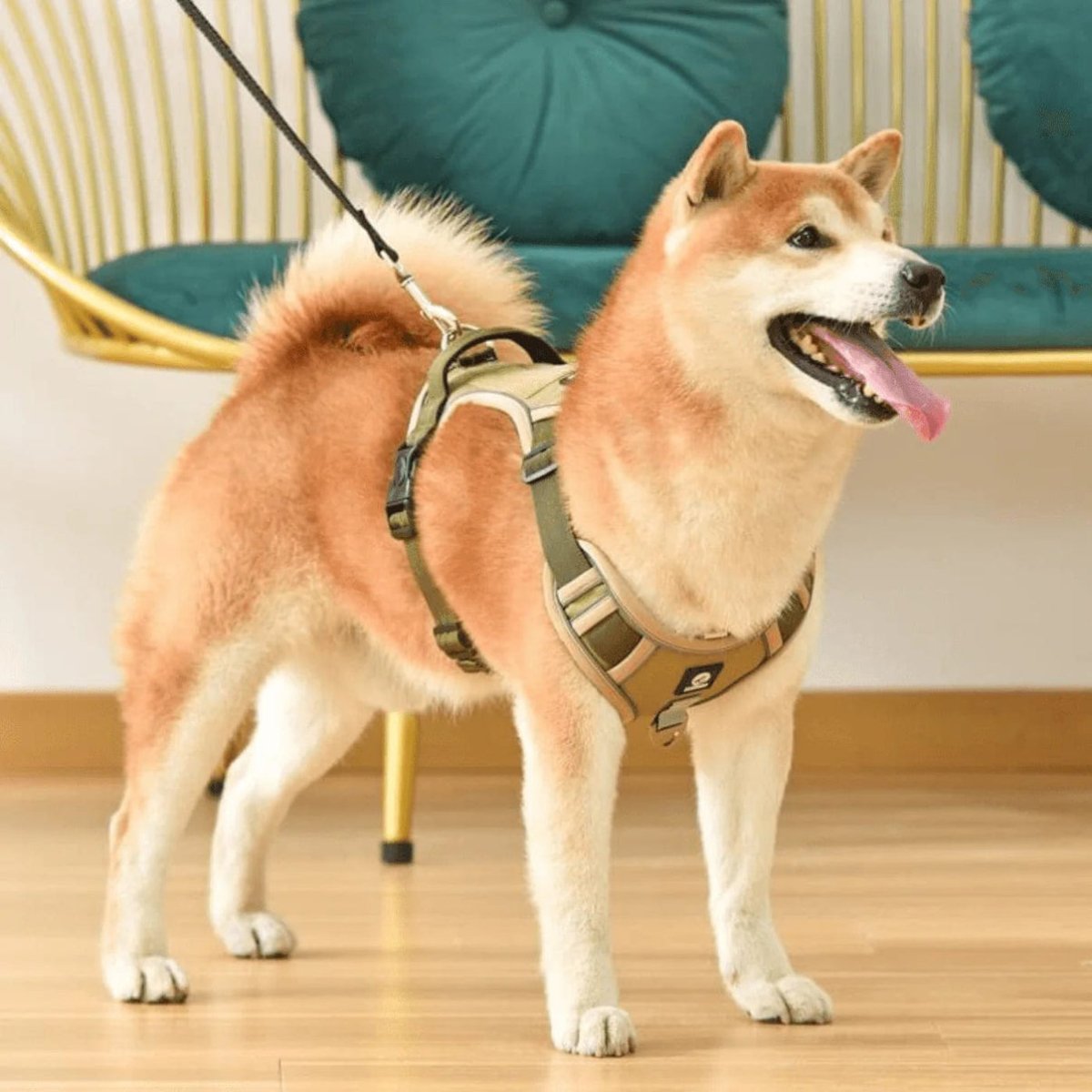 PawsControl - El Arnés Antitirones Definitivo para Perros