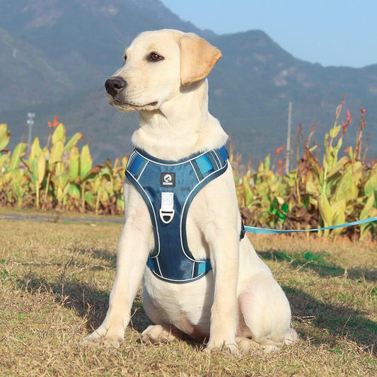PawsControl - El Arnés Antitirones Definitivo para Perros