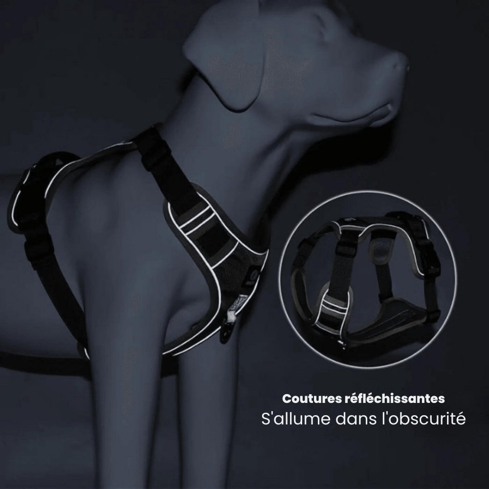 PawsControl - El Arnés Antitirones Definitivo para Perros