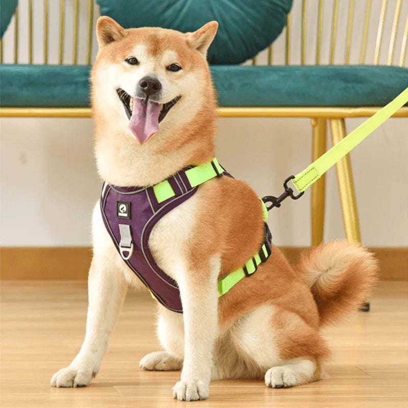 PawsControl - El Arnés Antitirones Definitivo para Perros