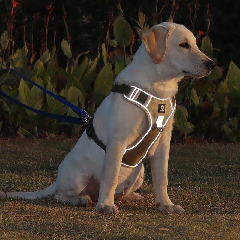 PawsControl - El Arnés Antitirones Definitivo para Perros