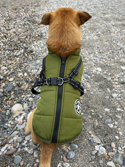 PawShield™ – La Chaqueta para Perros 3 en 1