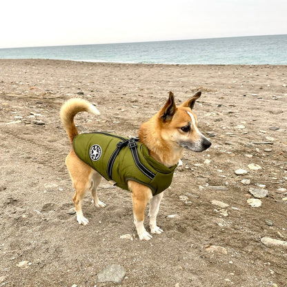 PawShield™ – La Chaqueta para Perros 3 en 1