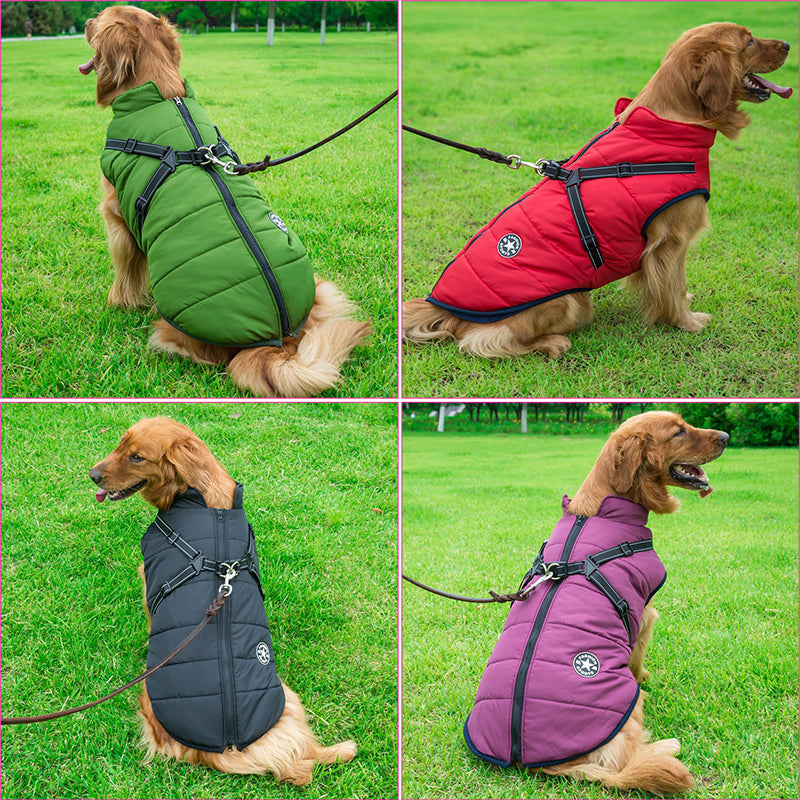 PawShield™ – La Chaqueta para Perros 3 en 1