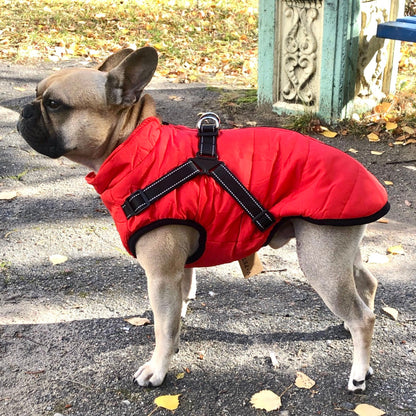 PawShield™ – La Chaqueta para Perros 3 en 1