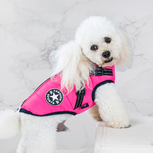 PawShield™ – La Chaqueta para Perros 3 en 1