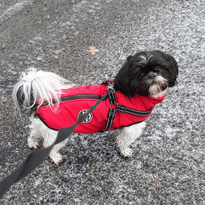 PawShield™ – La Chaqueta para Perros 3 en 1