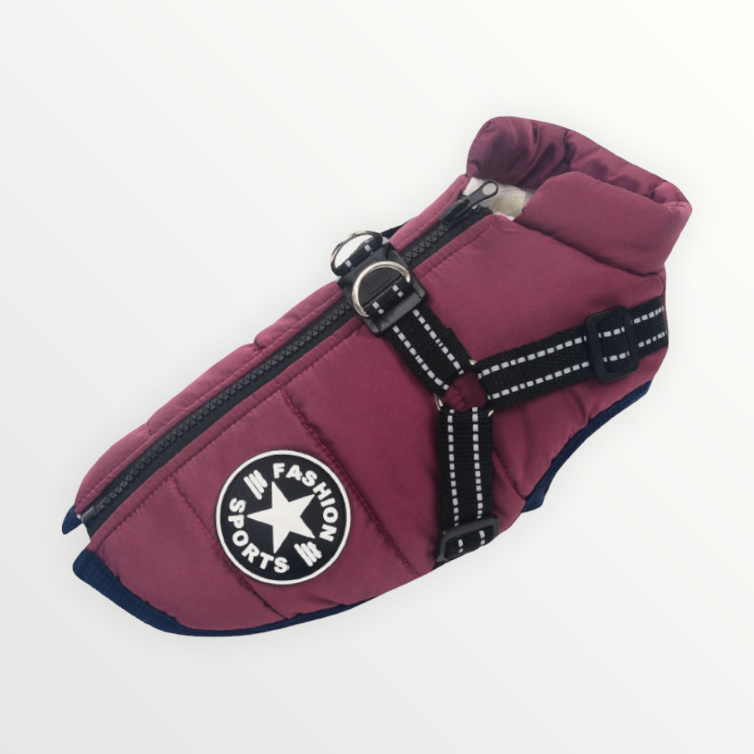 PawShield™ – La Chaqueta para Perros 3 en 1