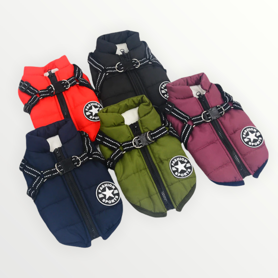 PawShield™ – La Chaqueta para Perros 3 en 1