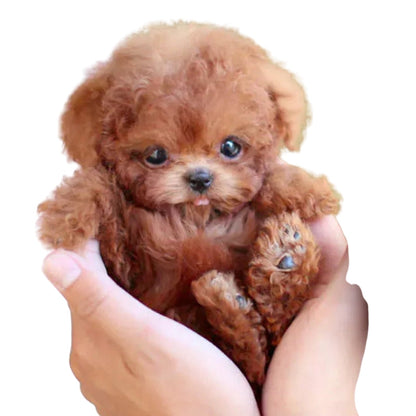 Peluche hiperrealista con funciones interactivas