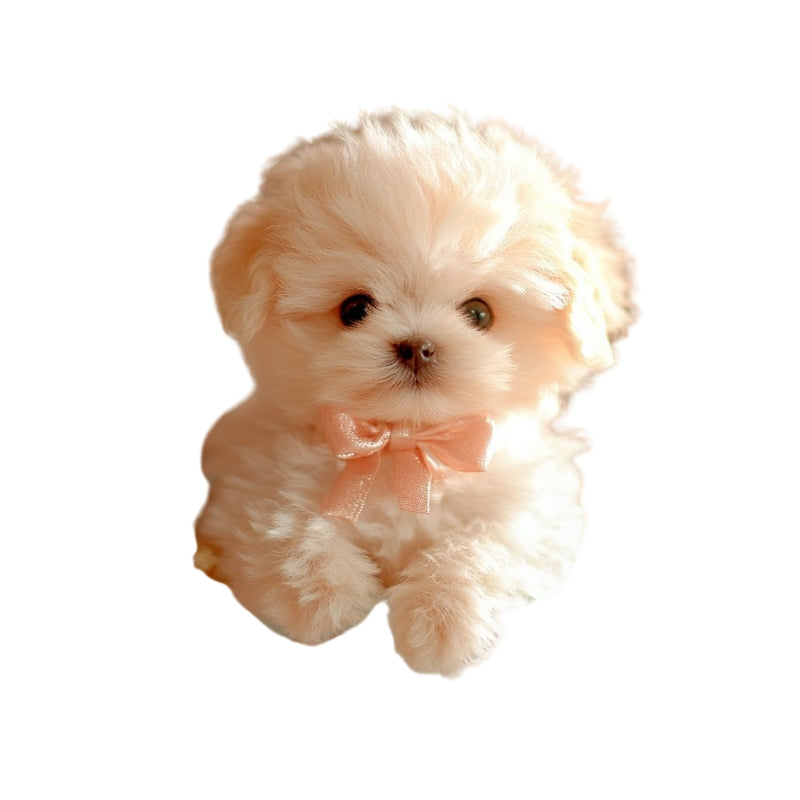 Peluche hiperrealista con funciones interactivas