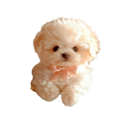 Peluche hiperrealista con funciones interactivas