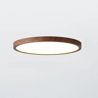 Plafón de techo redondo fino con luz LED regulable, moderno para salón y dormitorio