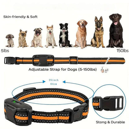 ProTrain • Collar de Entrenamiento para Perros
